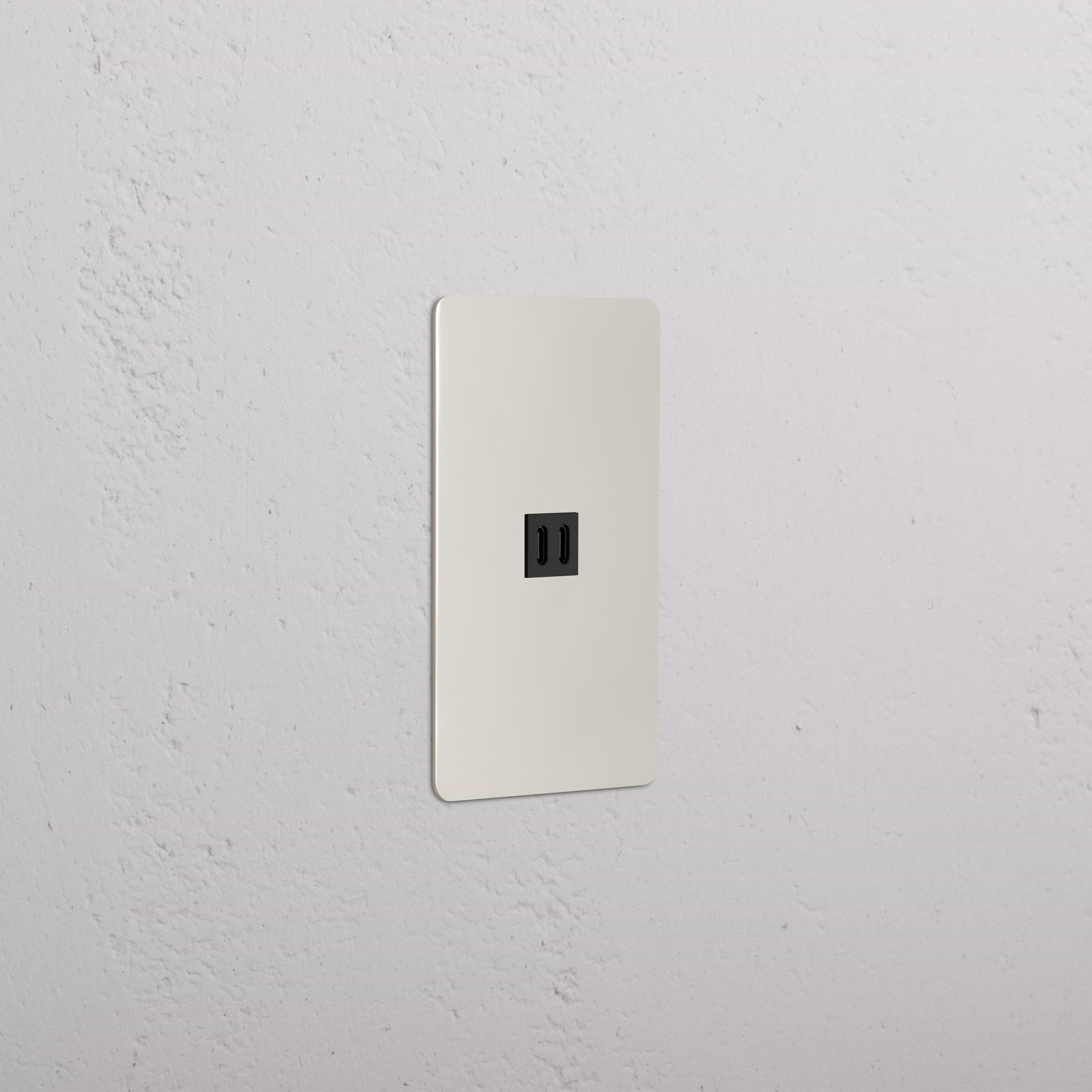 Kew 1G Fast Charge 45W USB Keystone in polished nickel black, single-gang plate with dual USB ports.
