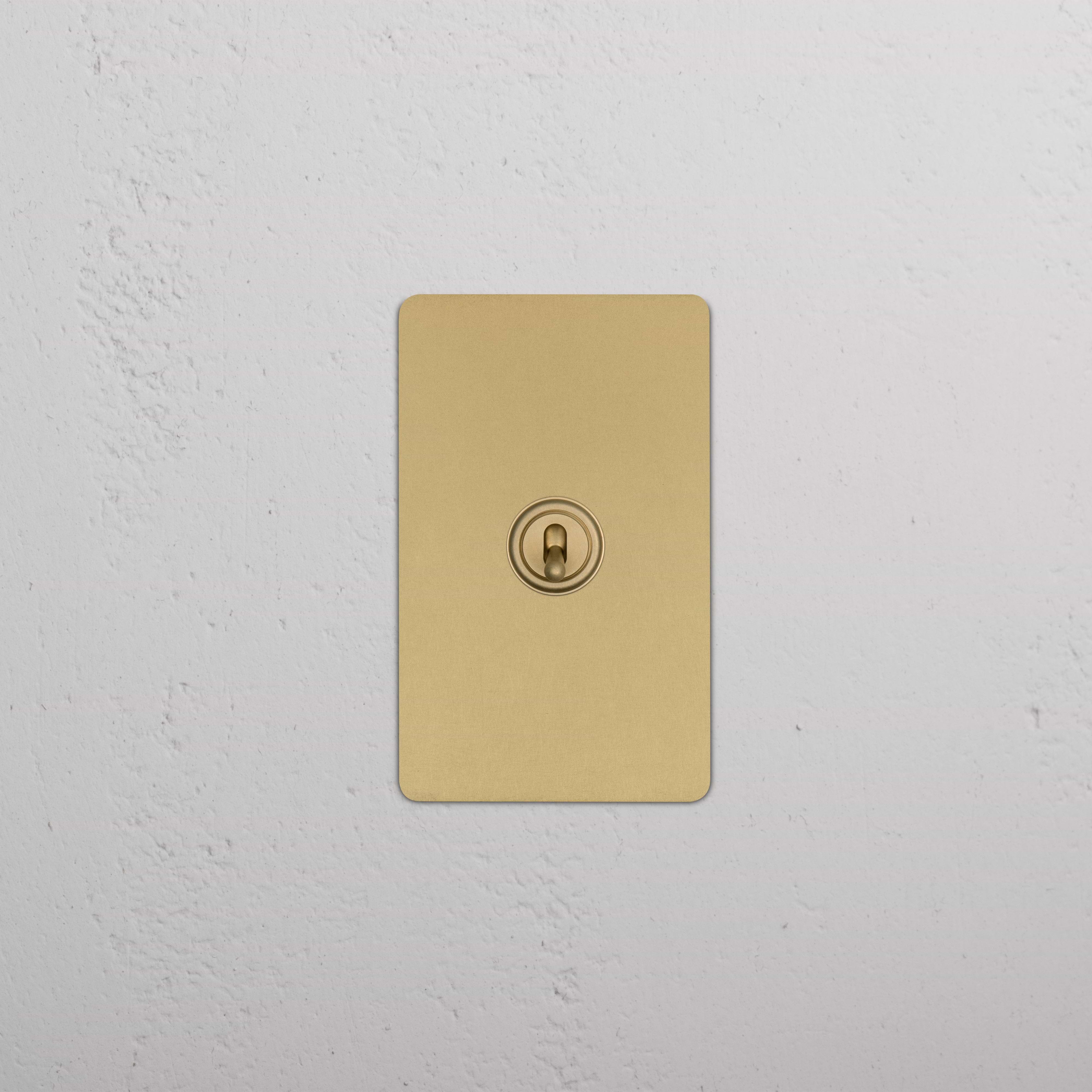 Kew 1G Toggle Switch in antique brass with a gold rectangular plate and toggle on a white wall.