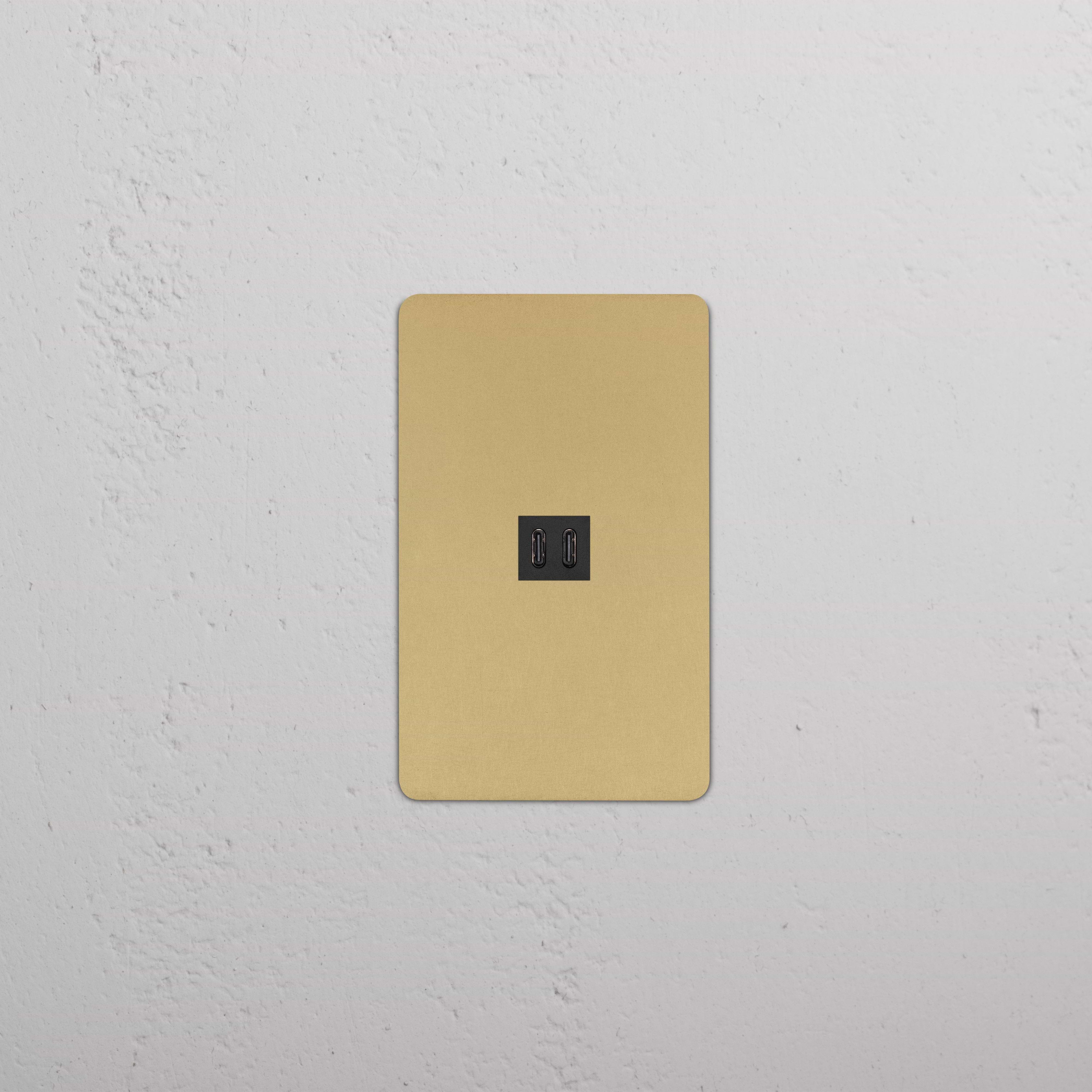 Kew 1G Fast Charge 45W USB Keystone in Antique Brass Black finish, shown mounted on a white wall.