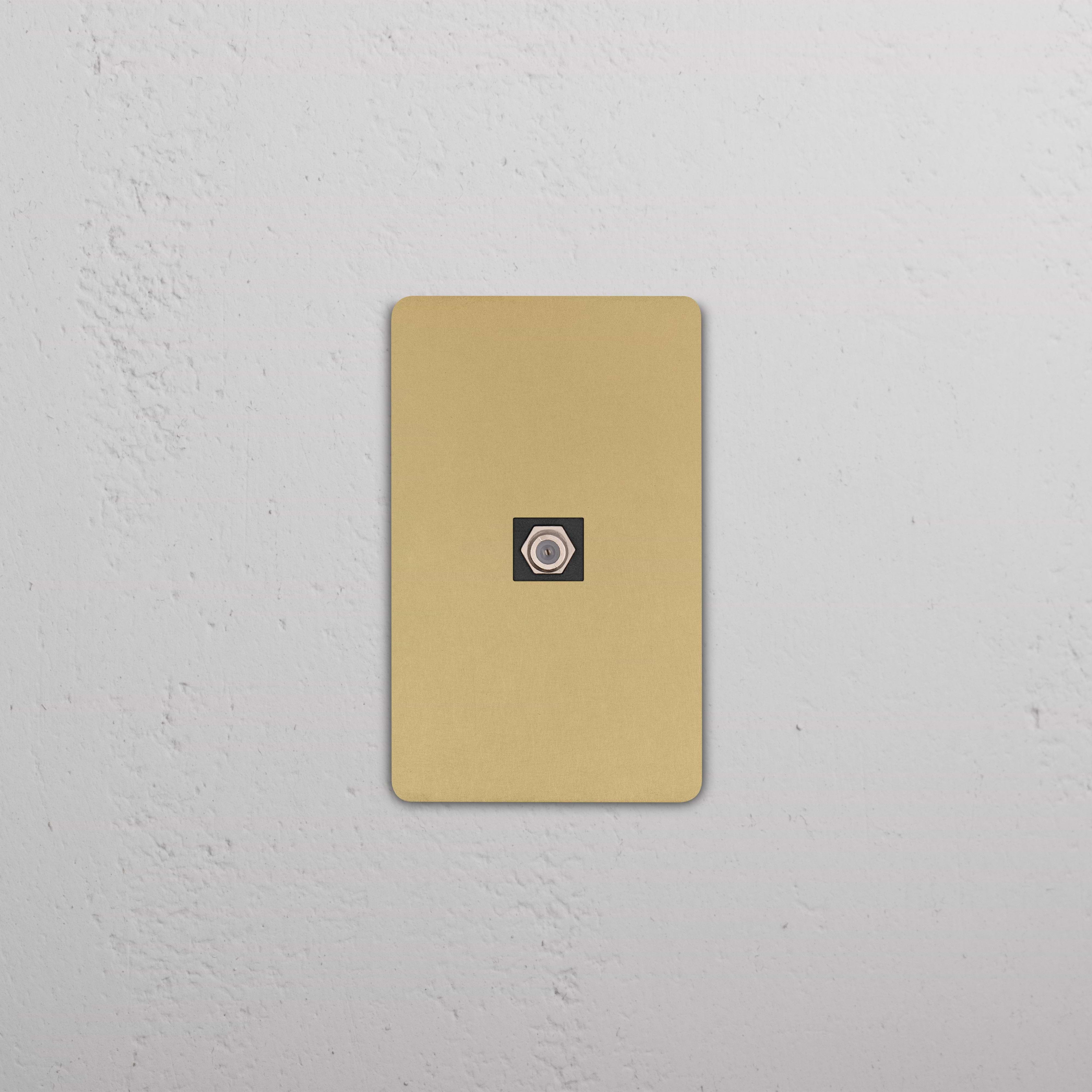 Grove 1G Satellite Keystone in antique brass with black insert, single gang wall plate for keystone modules.