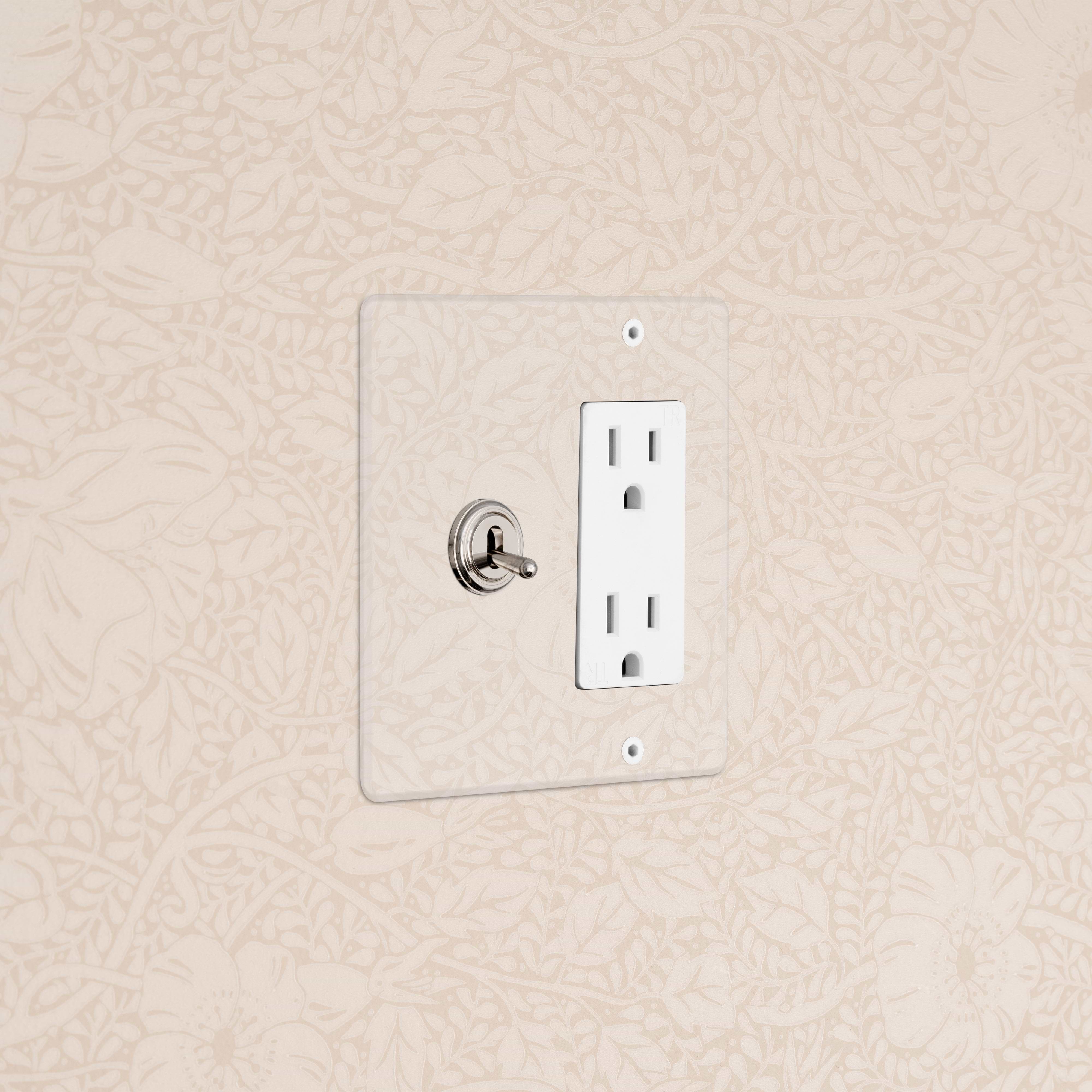 Kew 2G Toggle Switch & Outlet - Clear Polished Nickel White