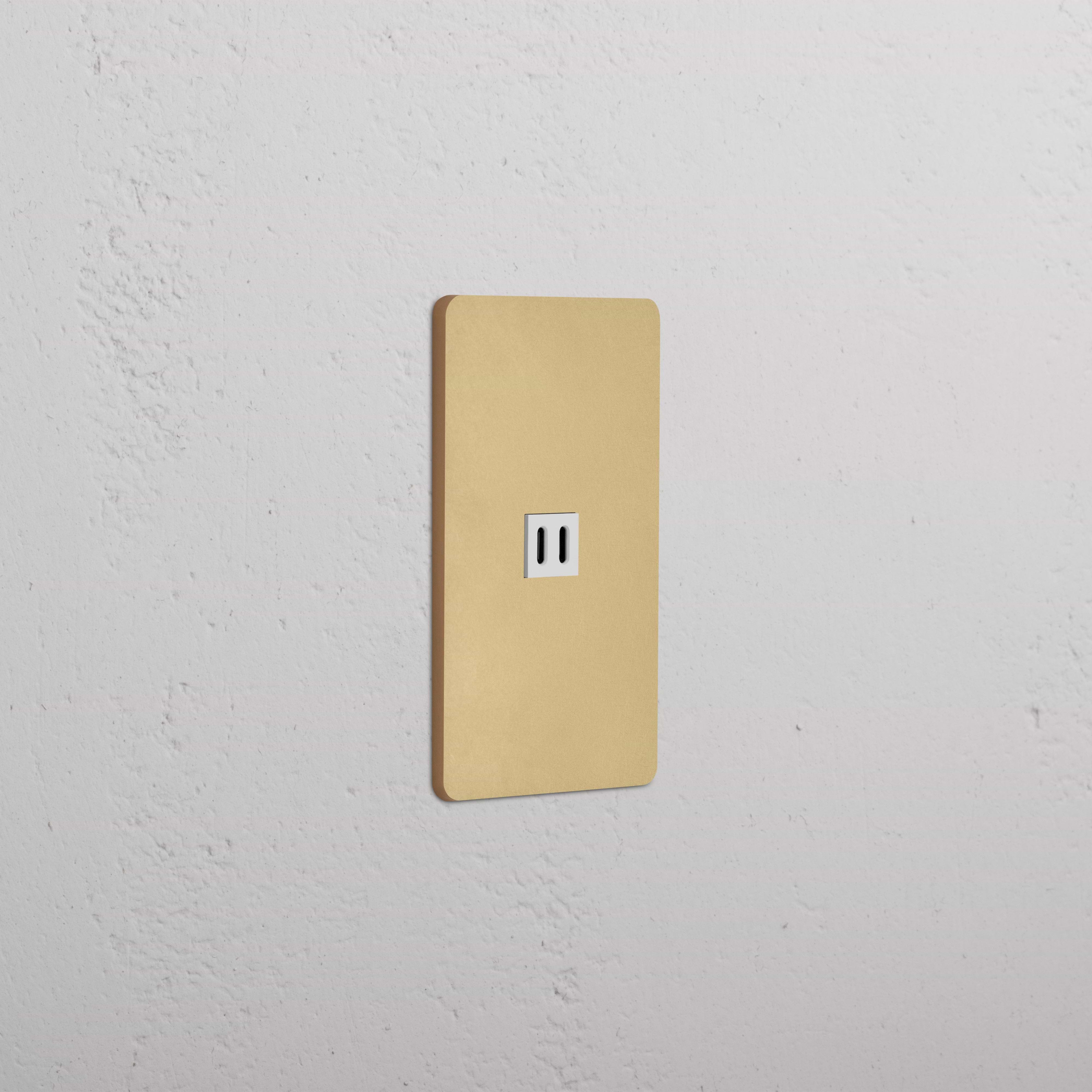 Grove 1G Fast Charge 45W USB Keystone in antique brass with white insert, single USB charging port faceplate.