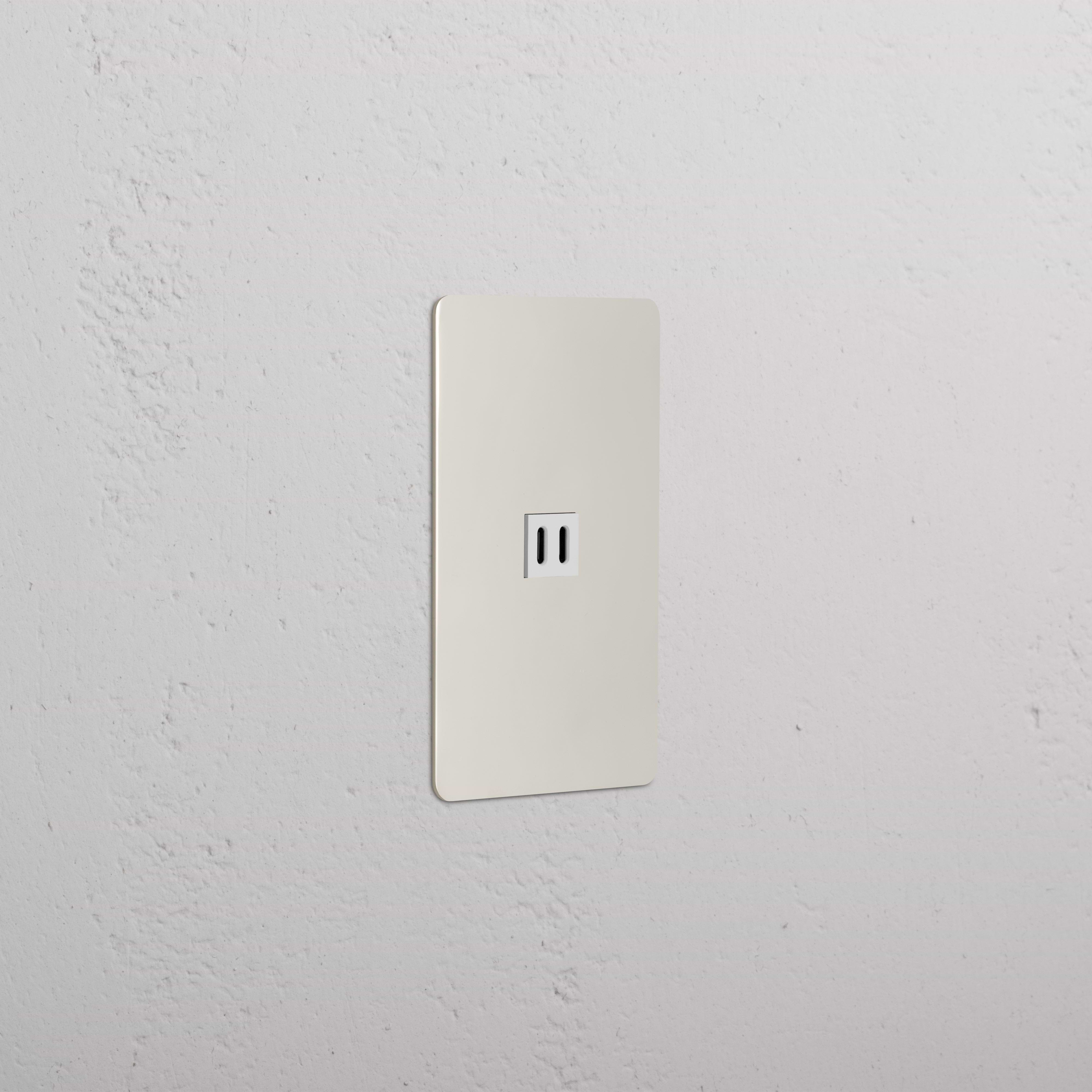 Polished nickel white Kew 1G Fast Charge 45W USB Keystone module for fast charging, shown installed.