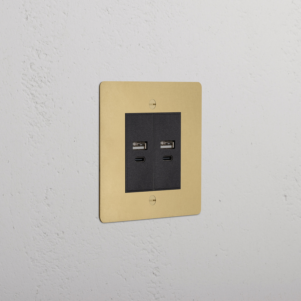 Single 2x USB-A+C Socket Antique Brass Black | Sockets & Modules