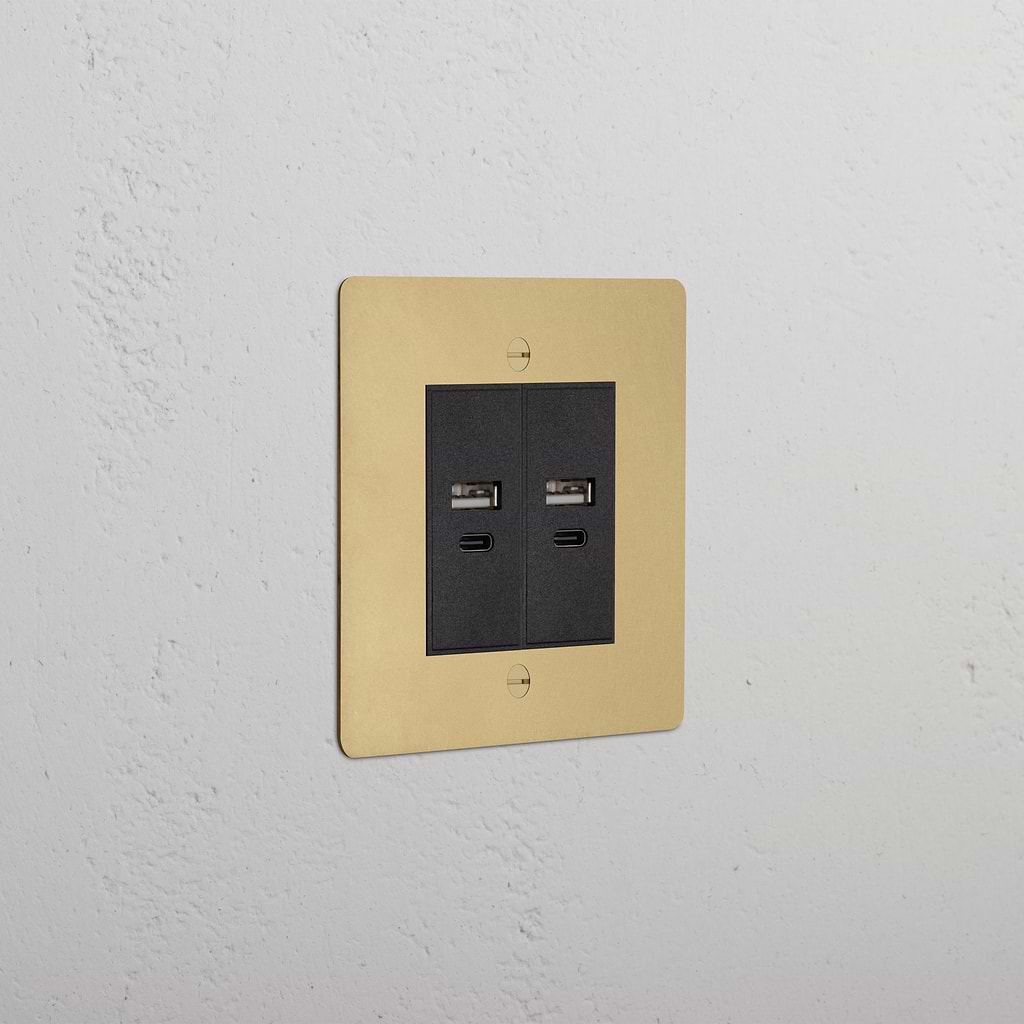 Single 2x USB-A+C Socket Antique Brass Black | Sockets & Modules