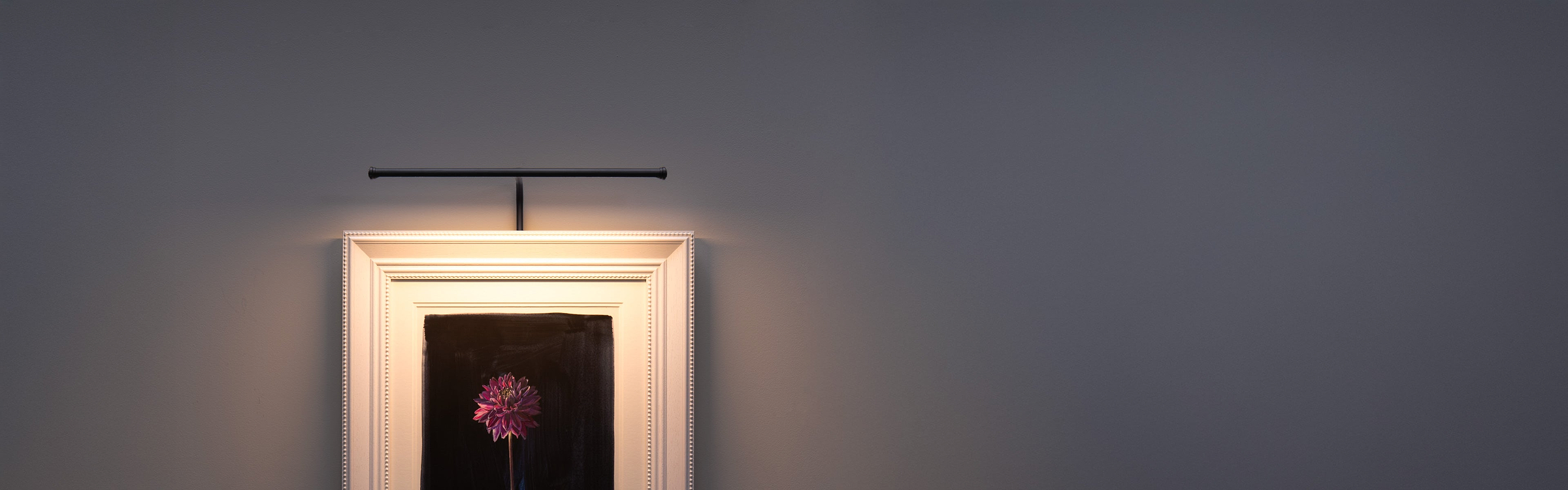 Bronze picture lights