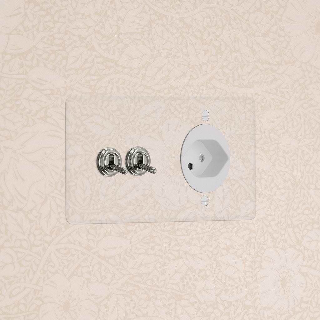Kew Double 2x Toggle Switch & Swiss Type J Socket Clear Polished Nickel ...
