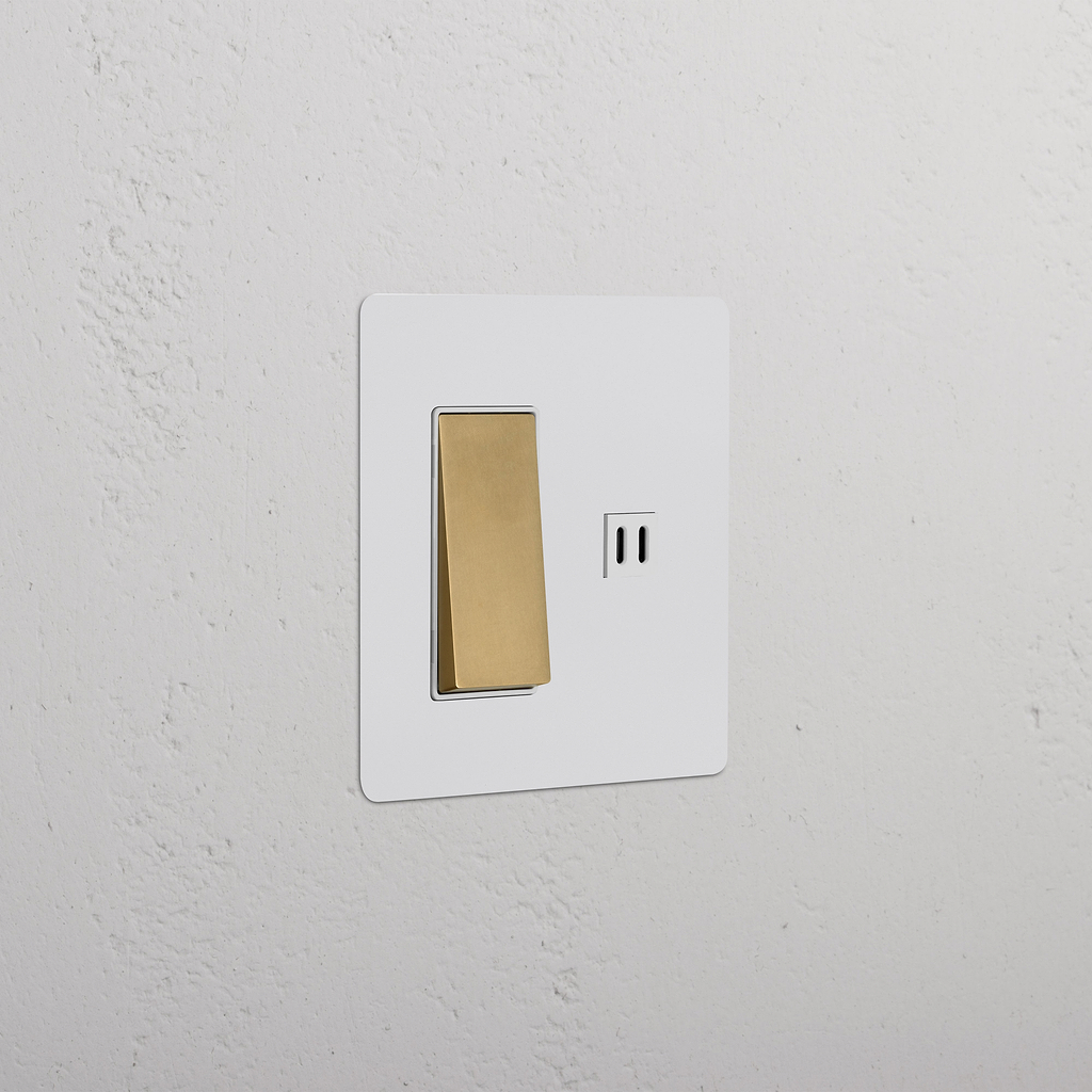 Kew 2G Rocker Switch & Fast Charge USB Outlet Paintable Antique Brass ...