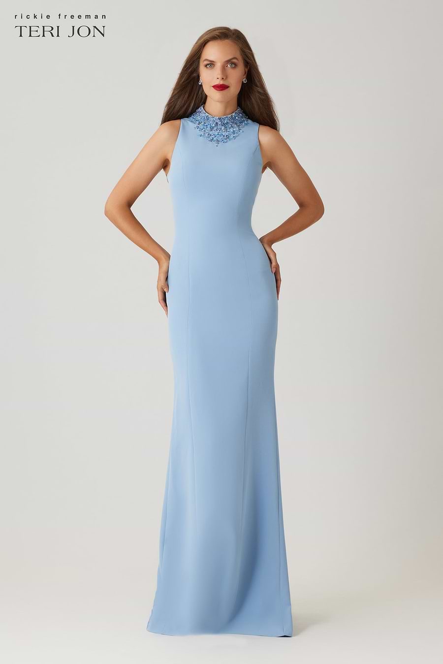 mock neck beaded column dress with t-back Teri Jon Crepe Beaded Neck Column Gown Size 18