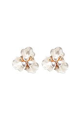 Color_Ivory