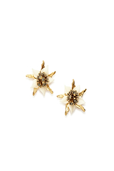 Color_White/Gold