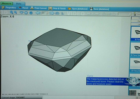 Ein Screenshot des virtuellen 3D-Modells ohne die genaue Messung des angezeigten Steins