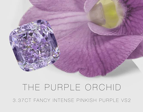 Die Purple Orchid – ein 3,37 Karat schwerer, intensiv rosa-violetter Diamant mit VS2-Reinheit