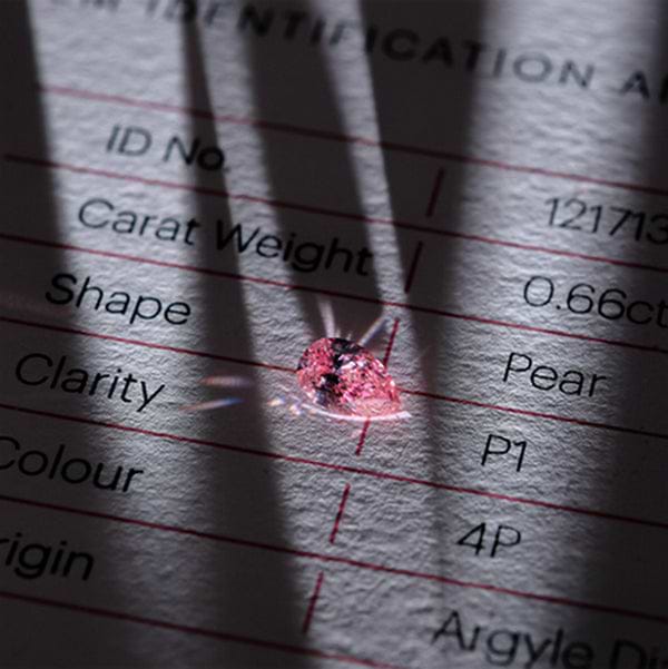 The Steinmetz Pink Diamond