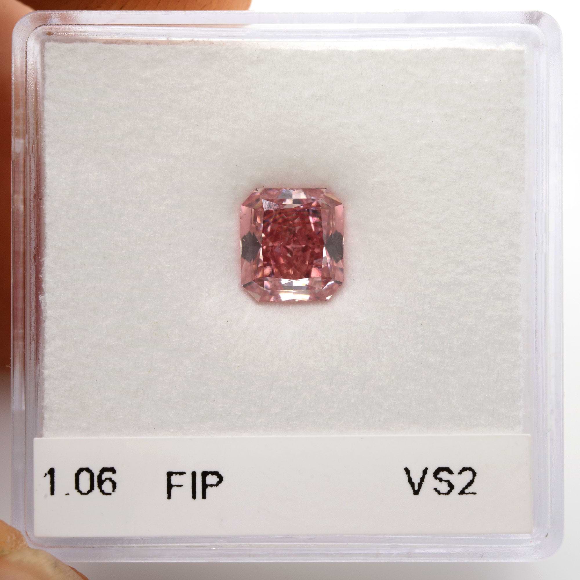 ステファニーコーム　ロイヤルピンクフテティ6A  Pink Petit ステファニーコーム RoyalPinkPetit 6A ロイヤルピンクプティ