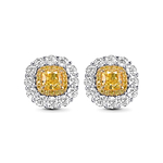 Fancy Intense Yellow Cushion Double Halo Diamond Earrings