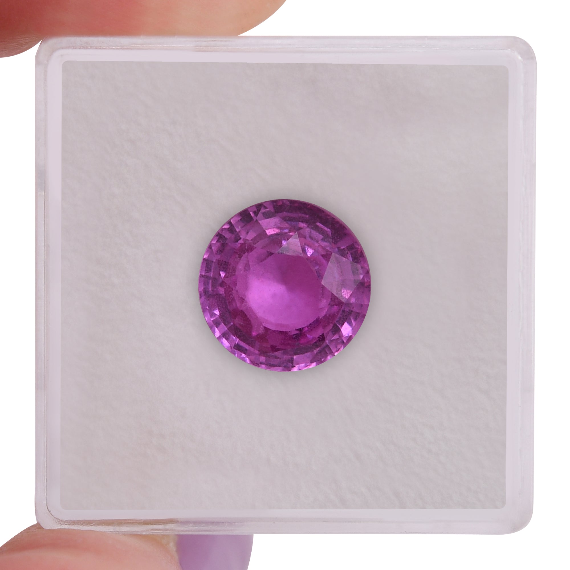 新品 PINK SAPPHIRE BEST FOR YOU CD 新品 PINK SAPPHIRE BEST FOR YOU CD PINK SAPPHIRE/BEST FOR