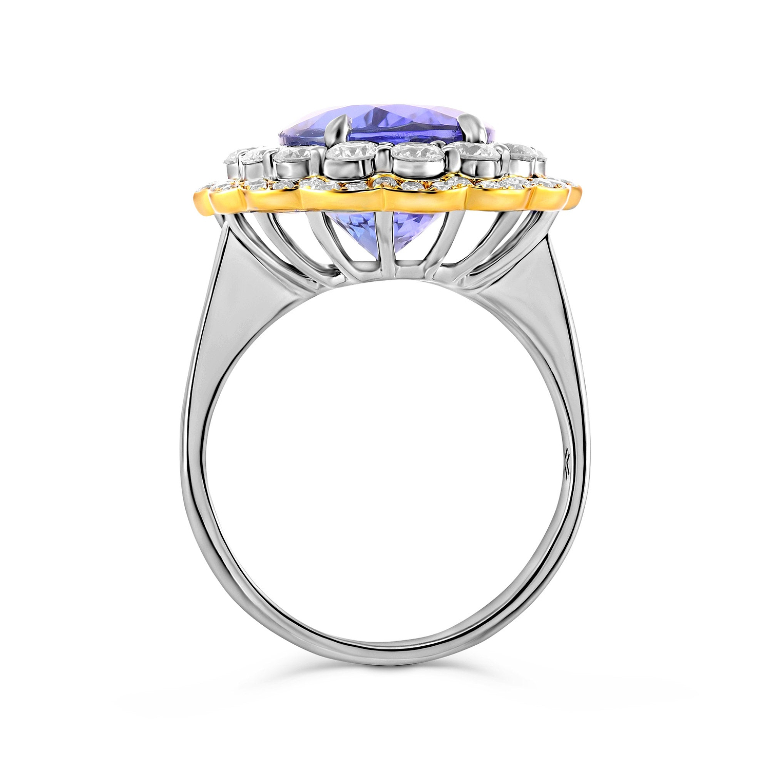 Tanzanite Floral Halo Ring