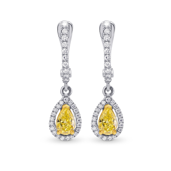 Drop Halo Earrings with Colorless Pave