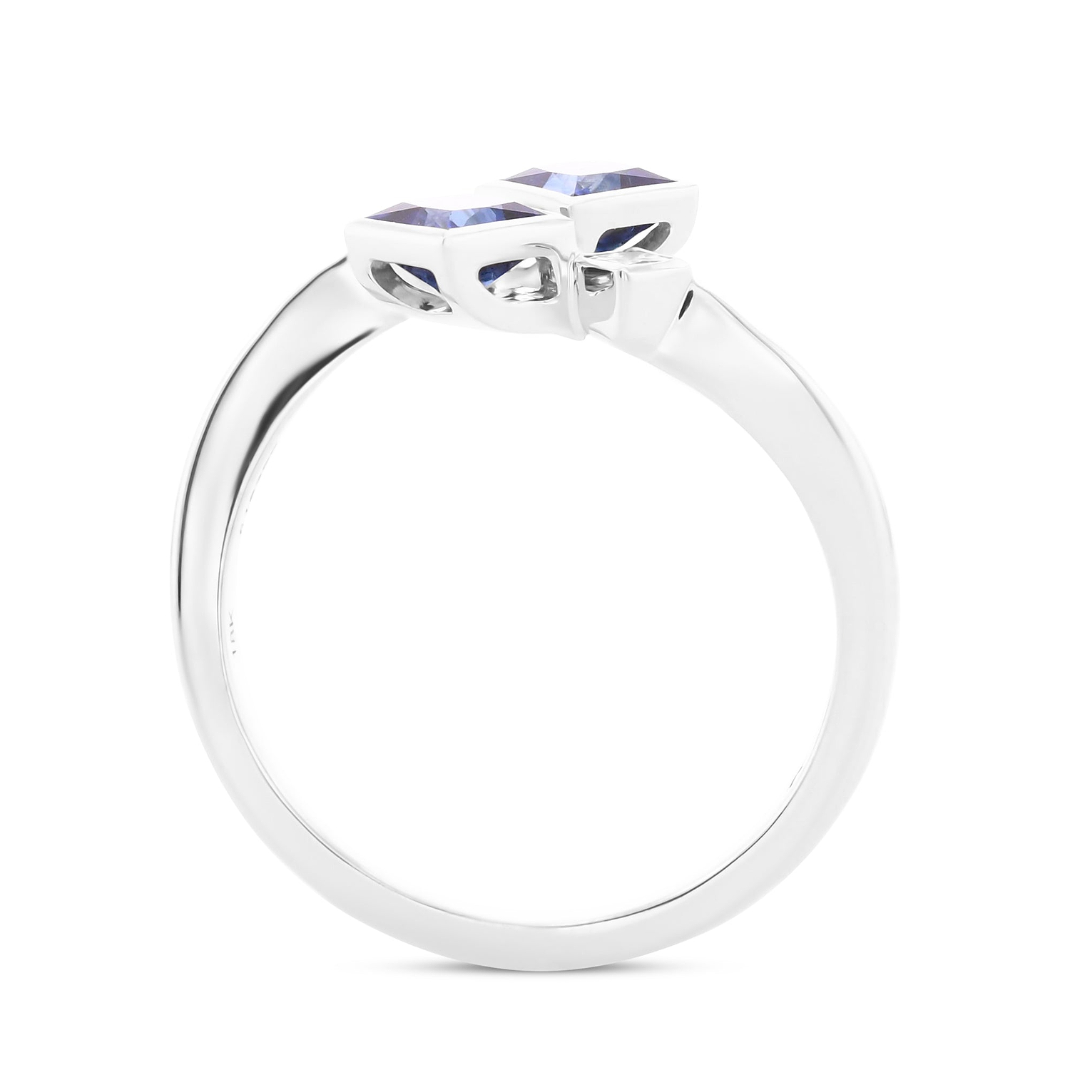 Blue Sapphire & Diamond Princess Two-stone Ring - 2