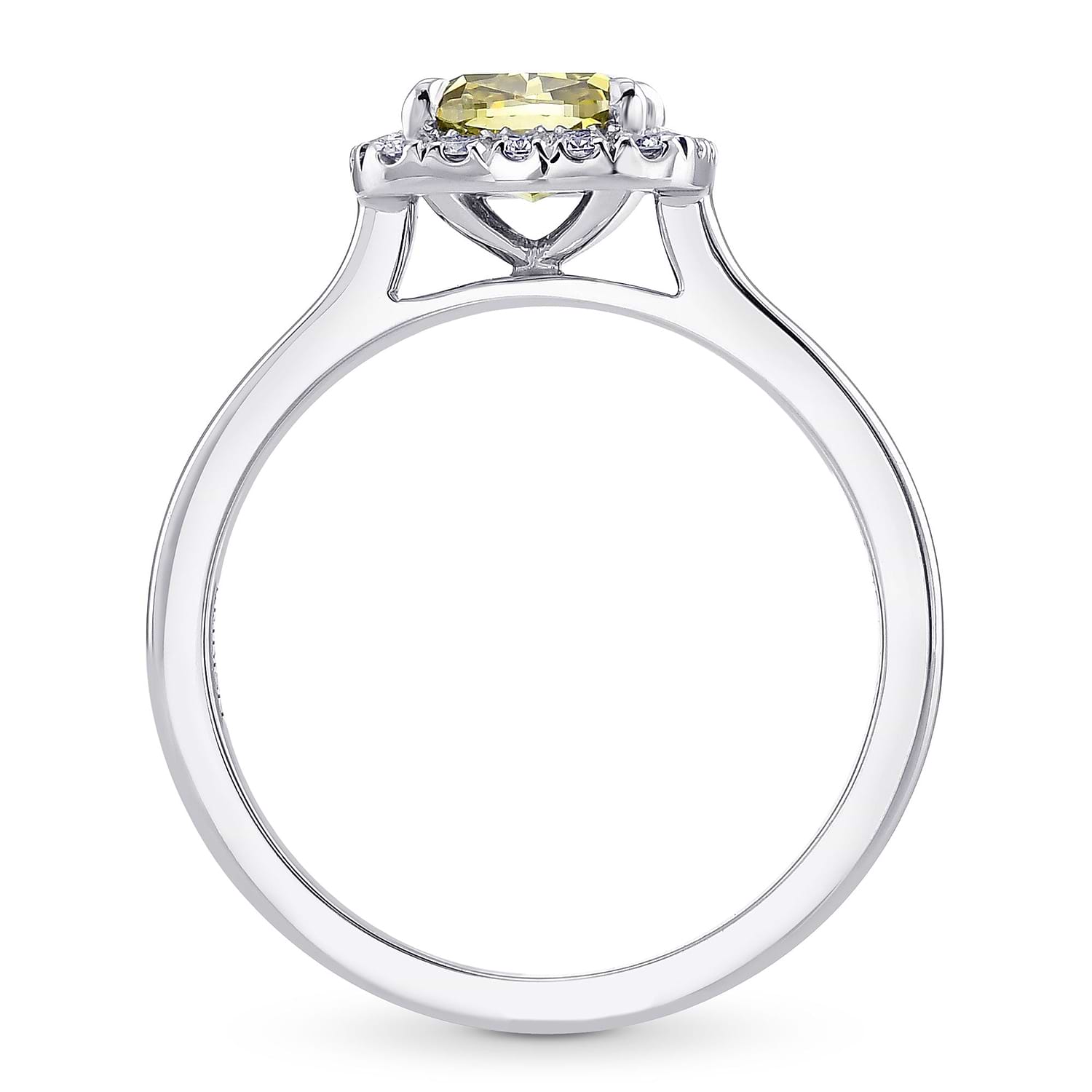 Chameleon Cushion Diamond Halo Ring