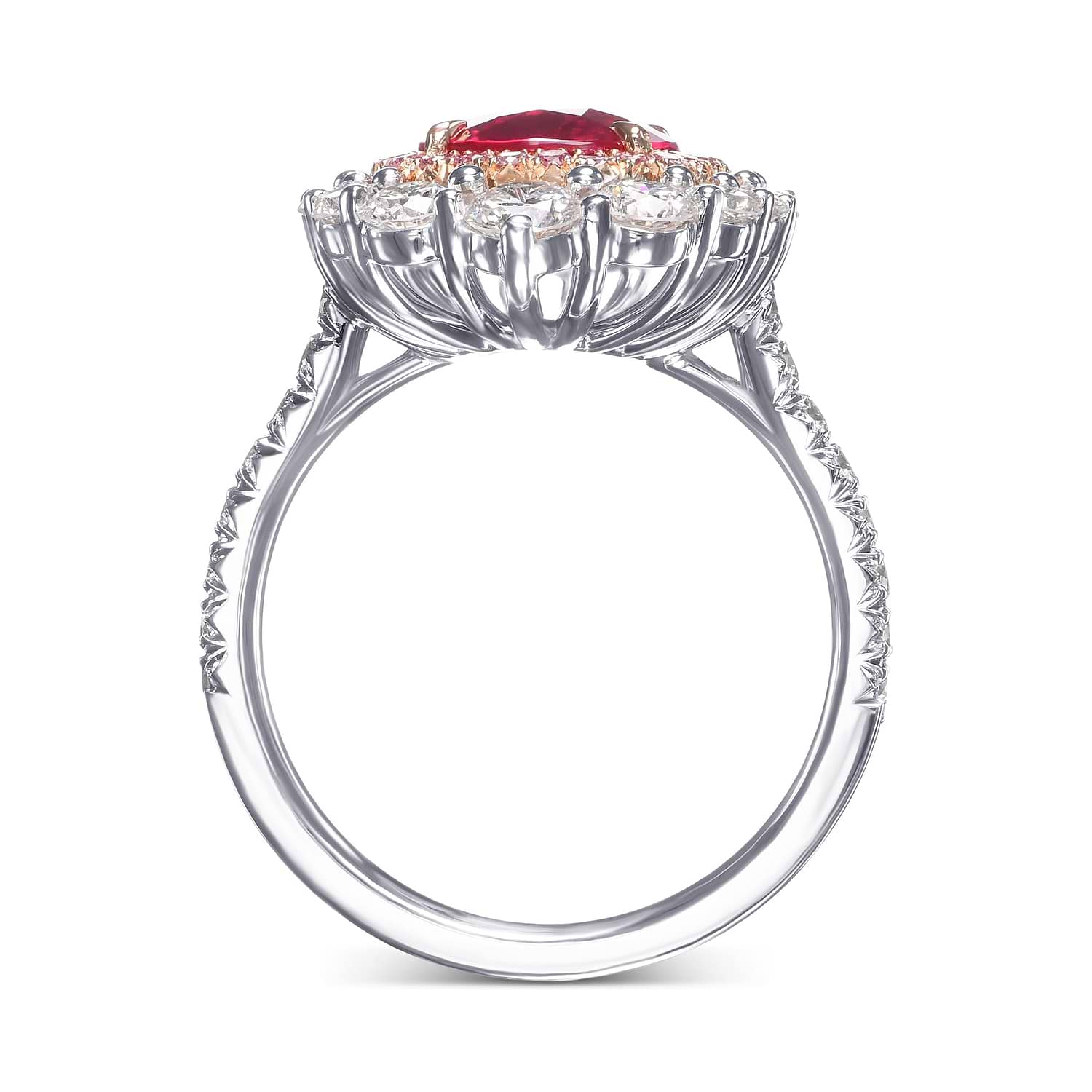 Cushion Mozambique Ruby and Diamond Double Halo Ring