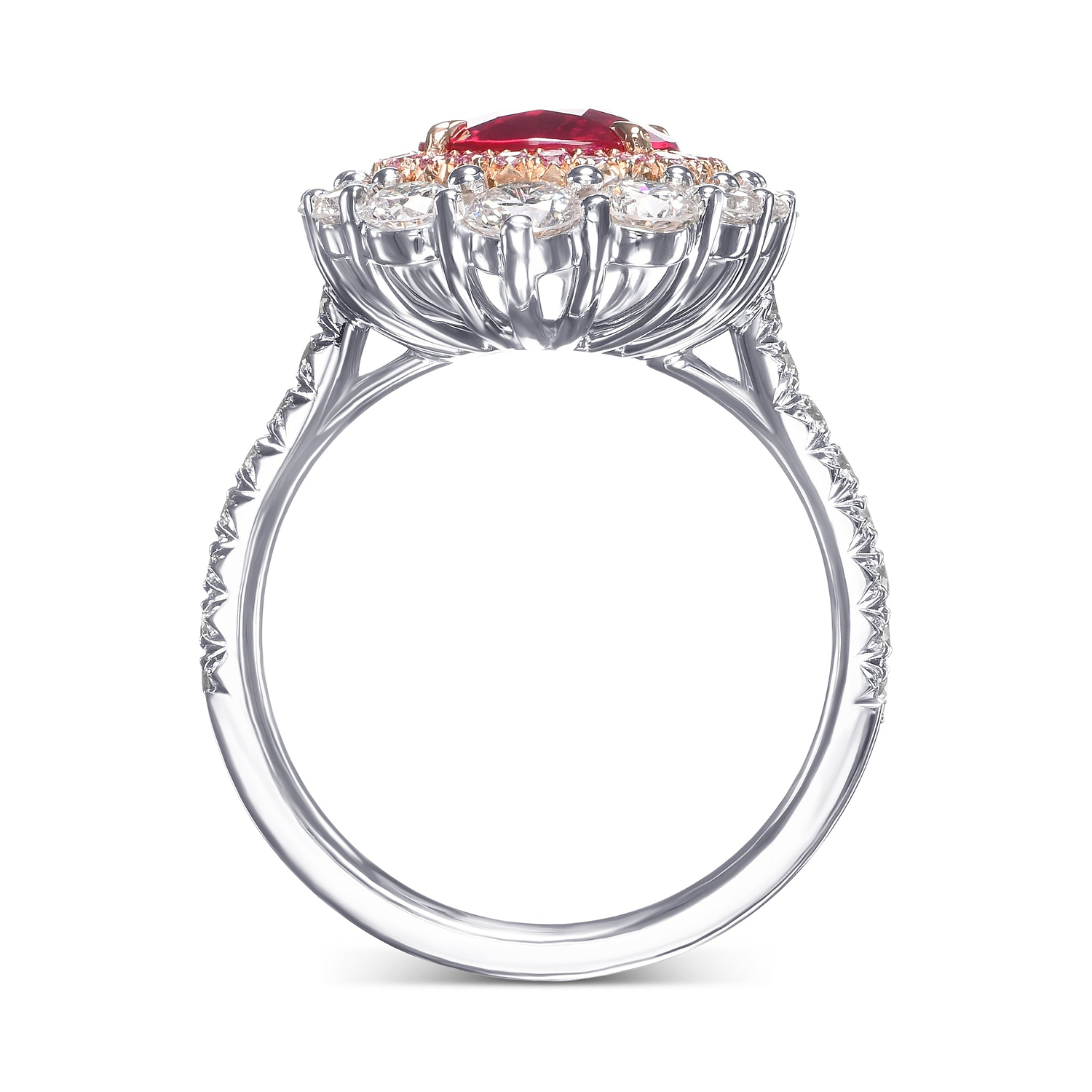 Cushion Mozambique Ruby and Diamond Double Halo Ring