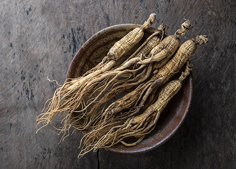 american-ginseng