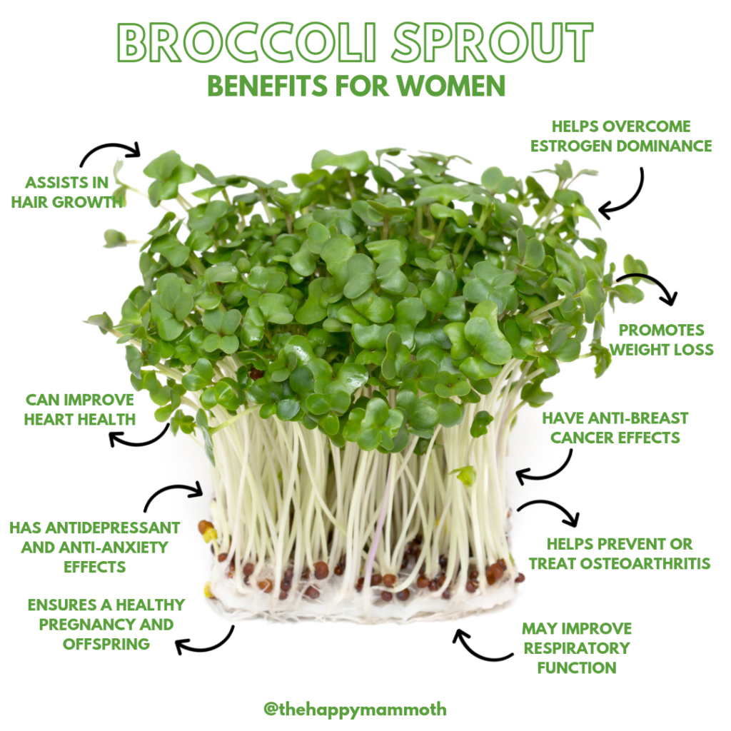 Broccoli Sprout Benefits