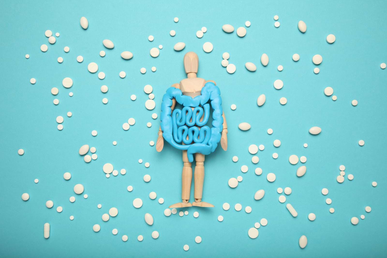 Prebiotic foods: Doll representing digestive system
