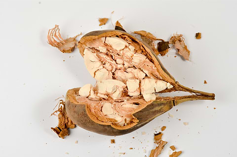 Baobab Fruit 