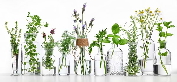 Essential Oils: Do they really work?