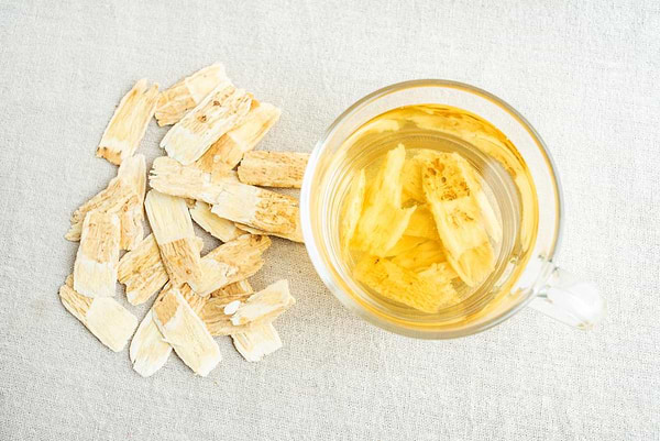 astragalus benefits