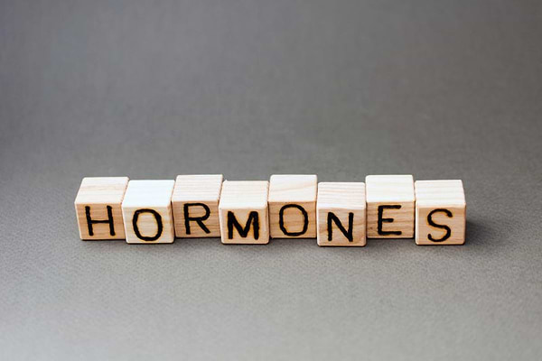 Correct Estrogen Dominance Naturally