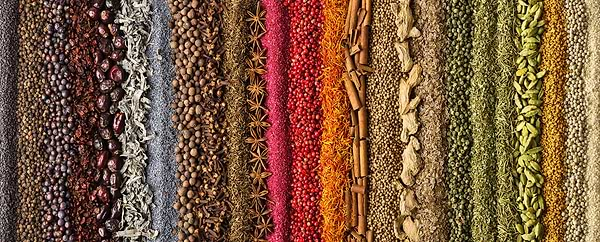 Variety of herbs and spices