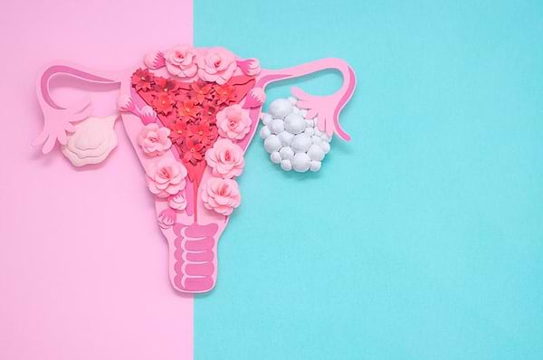 A Guide To Polycystic Ovary Syndrome (PCOS): Symptoms, Causes and Treatment