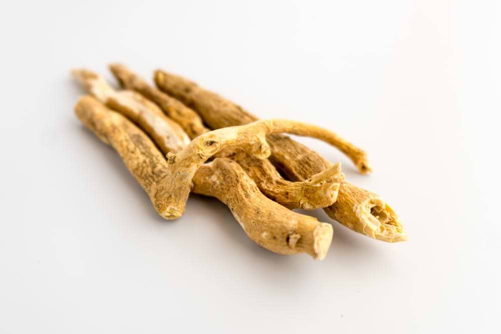 Root of ashwagandha for weight loss