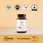 Ultimate Weight Loss Protocol 4.0