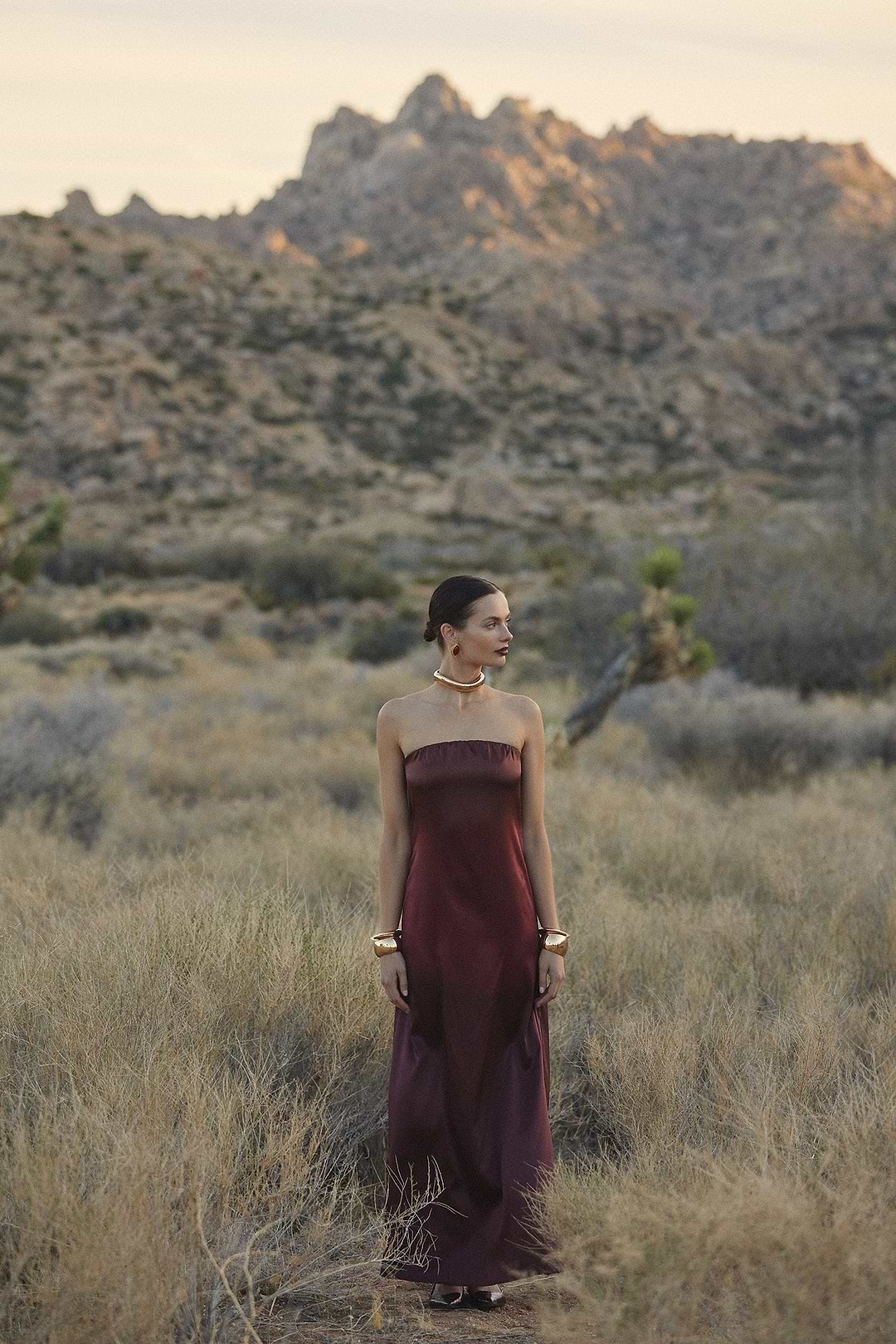 brown ombre dress V Neck Brown Ombre Long Prom Dresses, Brown Ombre Floor Length Formal Evening Dresses, US 2 / With Rush+$19.99