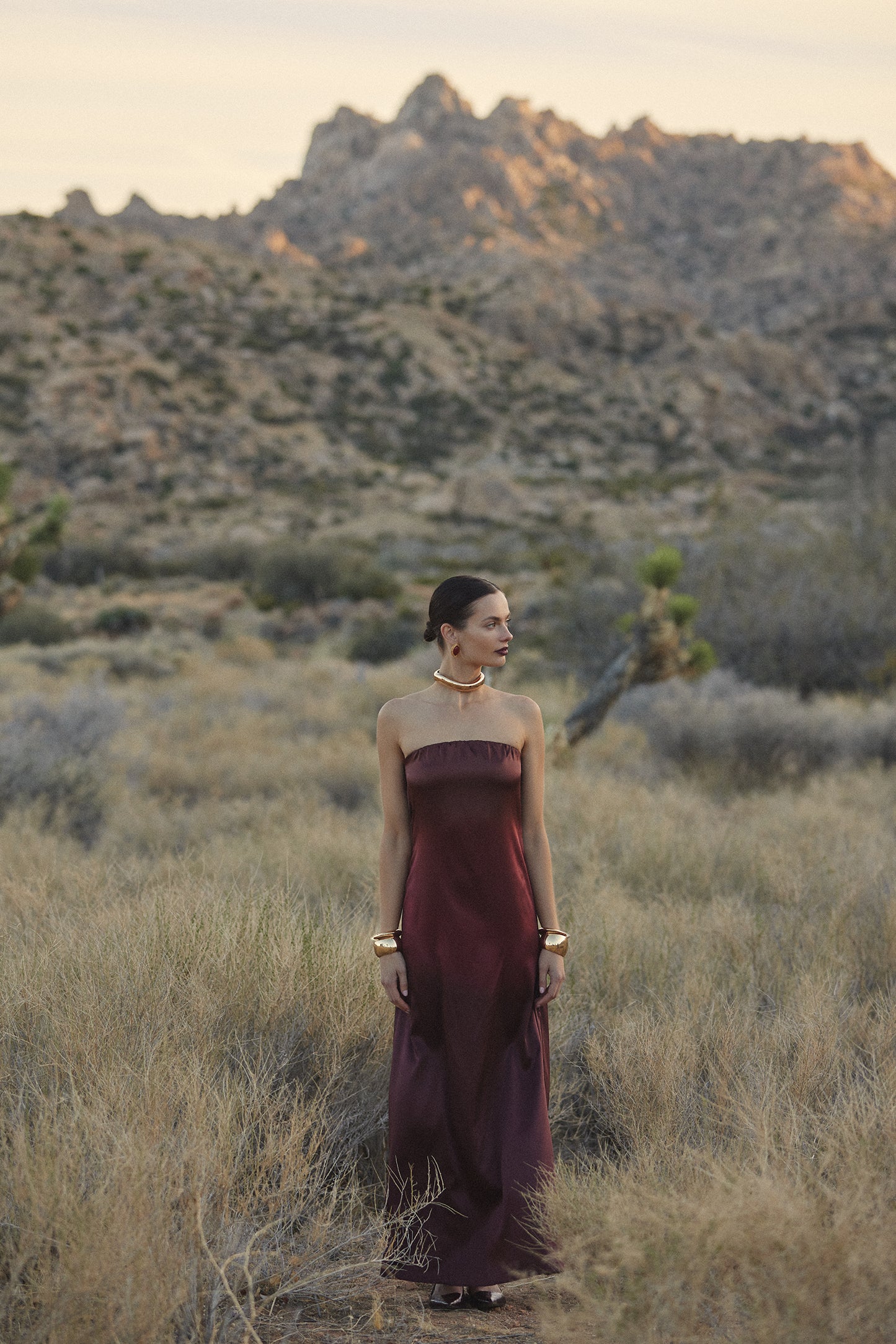 Strapless Draped Maxi (Brown Ombre)