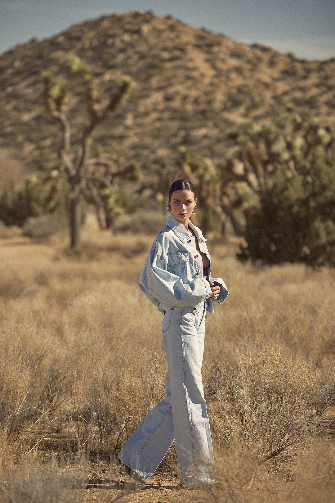 The Perfect Denim Jacket (Vintage Light)