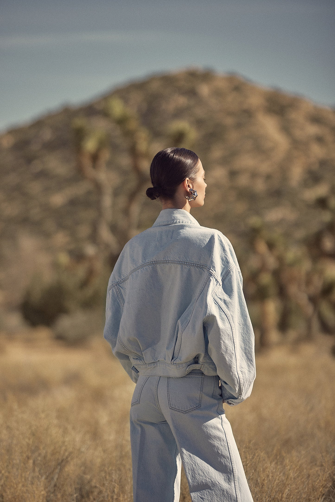 The Perfect Denim Jacket (Vintage Light)