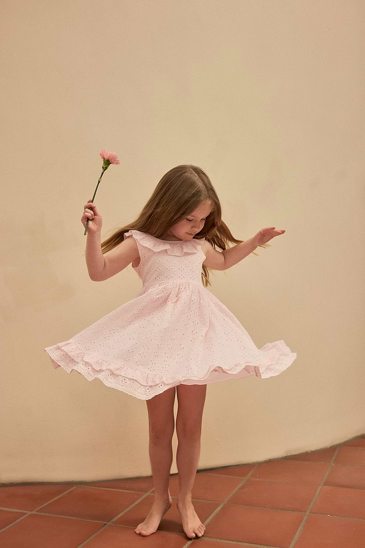 light pink eyelet dress Light Pink Floral Embroidered Eyelet Dress - Midi Dresses