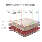 CurrentBody Skin LEDマルチライトマスク &ネック＆デコルテマスク＆頭皮・頭髪ケアセット