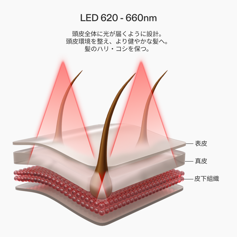 CurrentBody Skin LED 頭皮・頭髪ケアデバイス