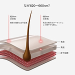 CurrentBody LED頭皮・頭髪ケアデバイスの波長と頭皮層への効果を示す図