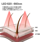 CurrentBody Skin LED 頭皮・頭髪ケアデバイス & LEDフェイス＆ネックキット:シリーズ3