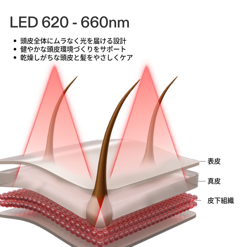 CurrentBody Skin LED 頭皮・頭髪ケアデバイス & LEDフェイス＆ネックキット:シリーズ3