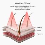 Graphic showing LED coverage across the scalp, hair follicle and layers of the skin