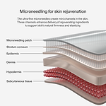Diagram showing the CurrentBody Skin Microneedling Patches and the effects to the skin